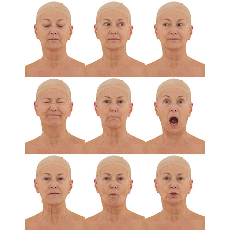 3d Face Models  3d faces from 3d scans