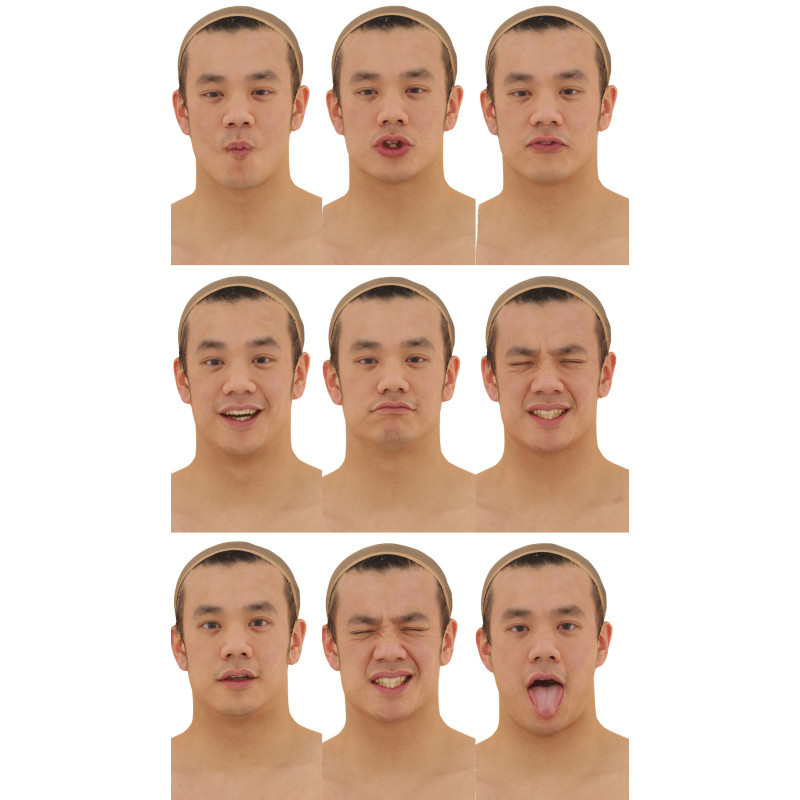 3d Face Models  3d faces from 3d scans