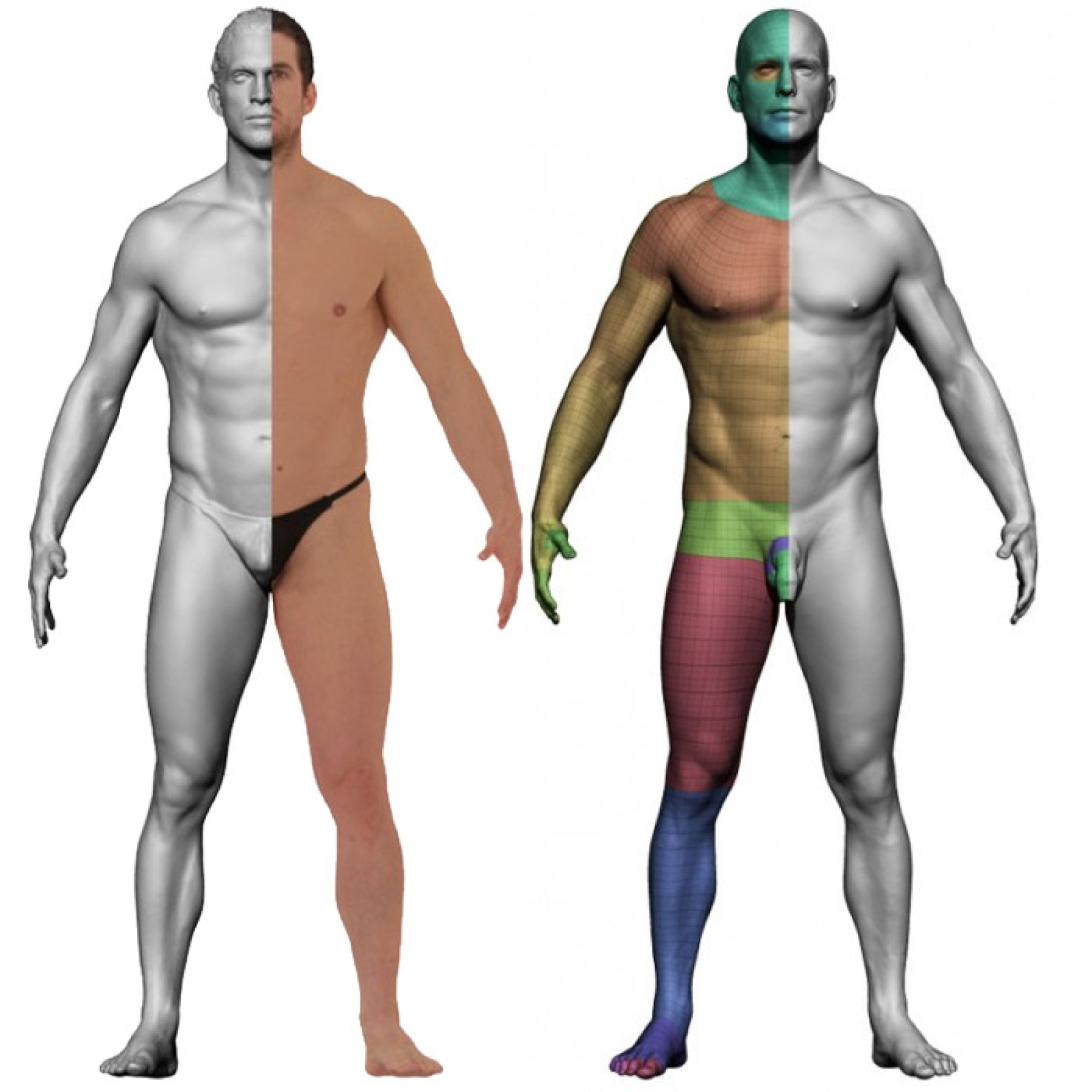 Body d. Фулл боди скан. 3d scan body. Full body 3d scan. Body UV Map.