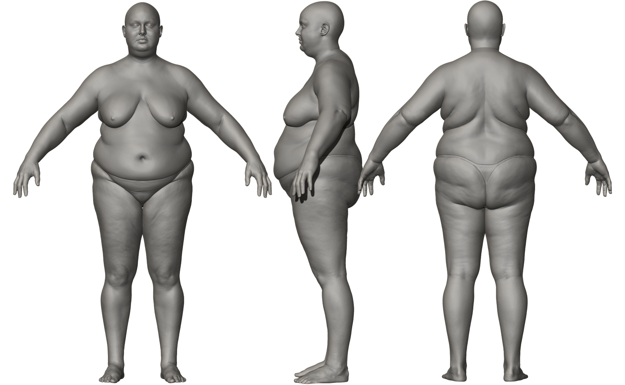 Download overweight female 3d body model 