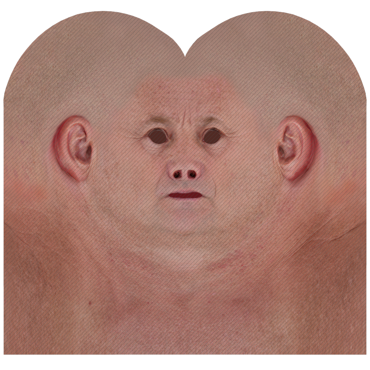 Male Head Texture Map 13