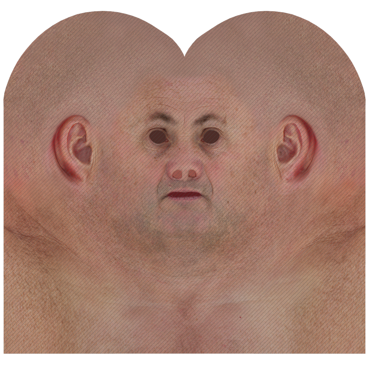 Male head texture map 20