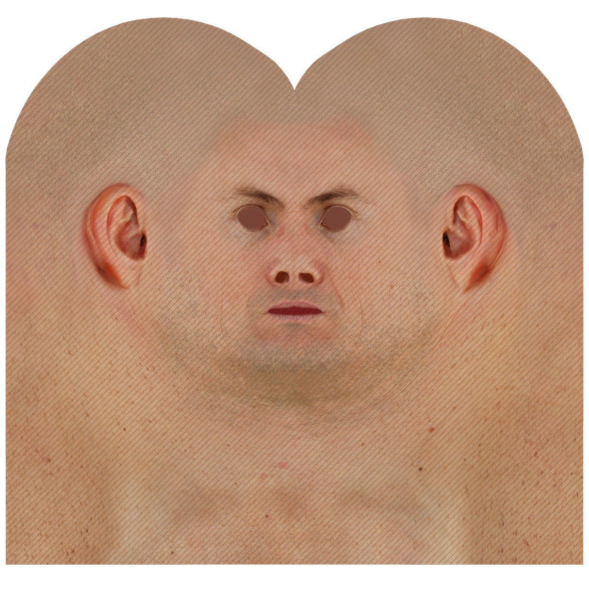 Male head texture map 36