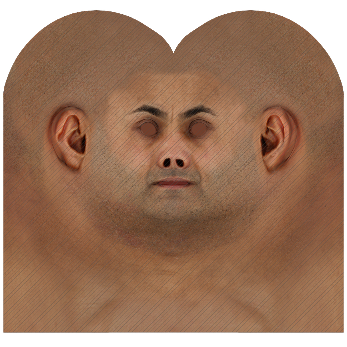 Male head texture map 41