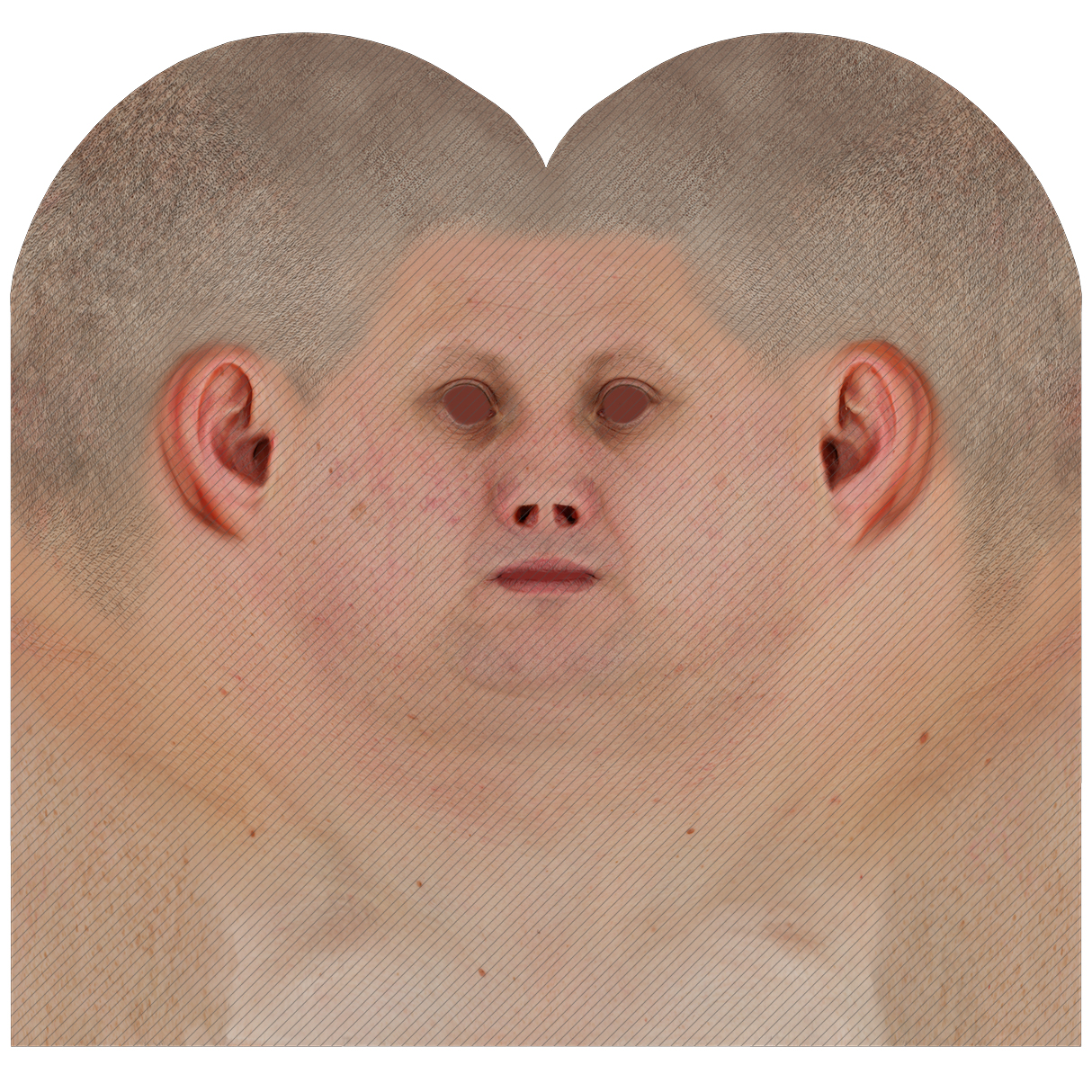 Male head texture map 44