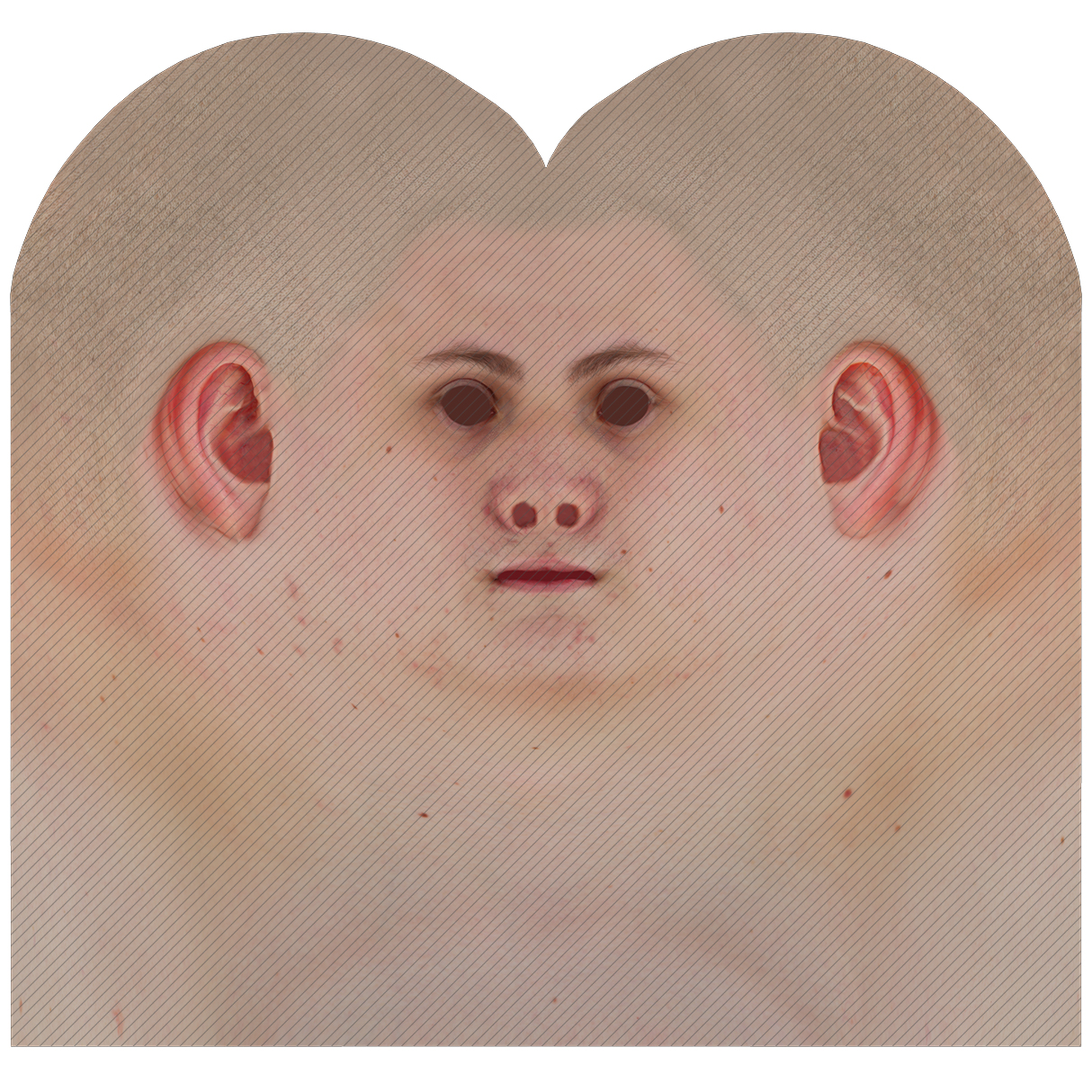 Male head texture map 05