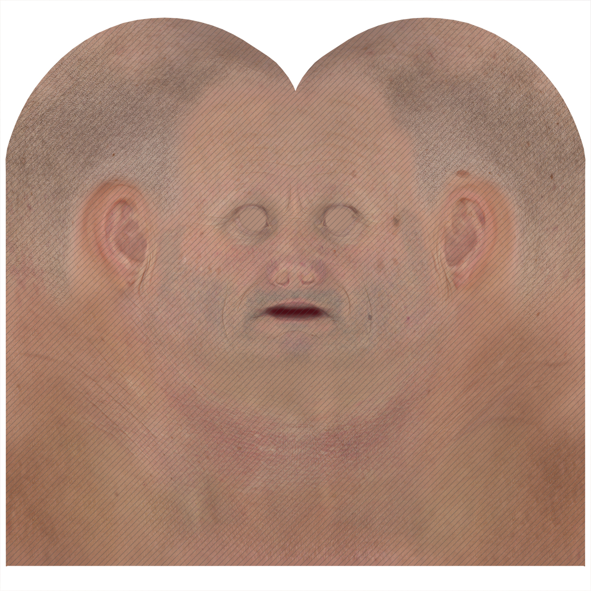 Male head texture map 13