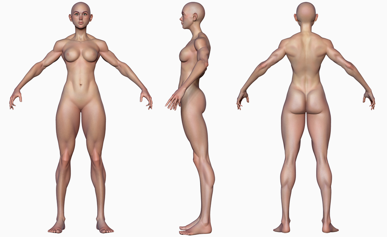 Download muscular female base mesh 3d model