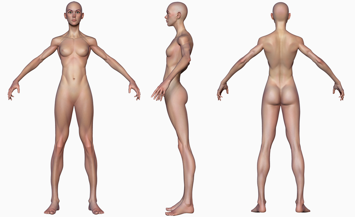 Stylised skinny female body 3d model 