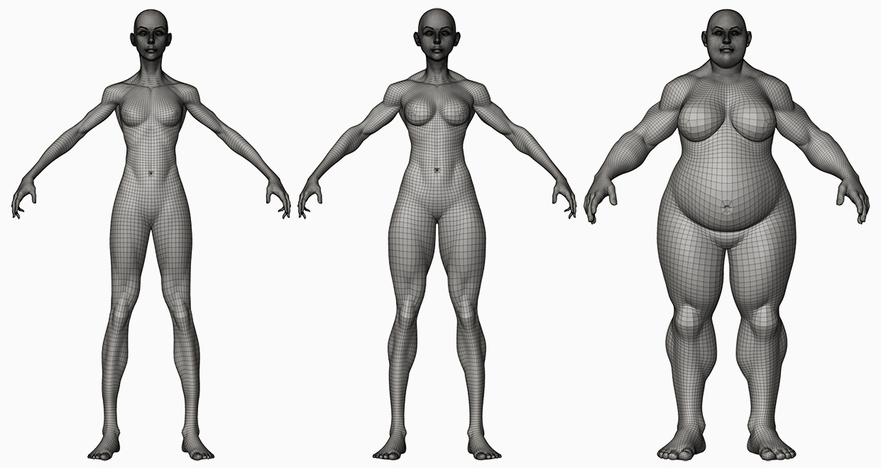 Female body 3d model wireframe