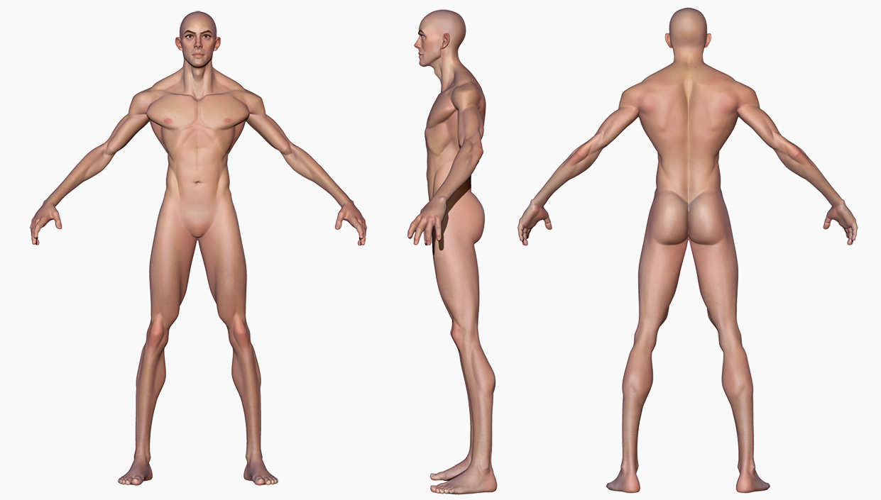 Stylised skinny Male body 3d model 