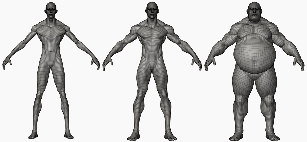 Male body 3d model wireframe