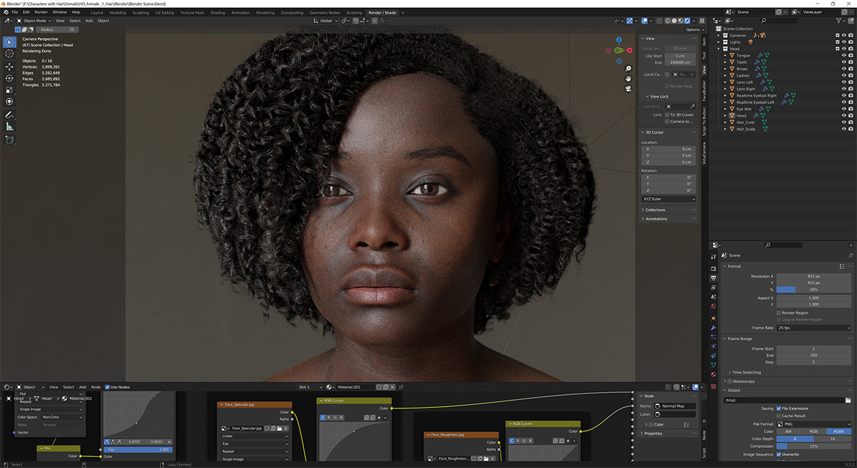 Realistic female head 3d model with hair