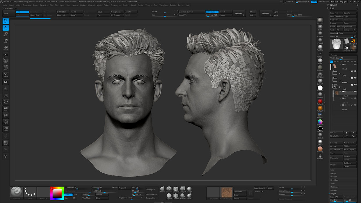 ZBrush Sculpt of 3D Male Head with Polygon Hair - High-Detail Digital Model