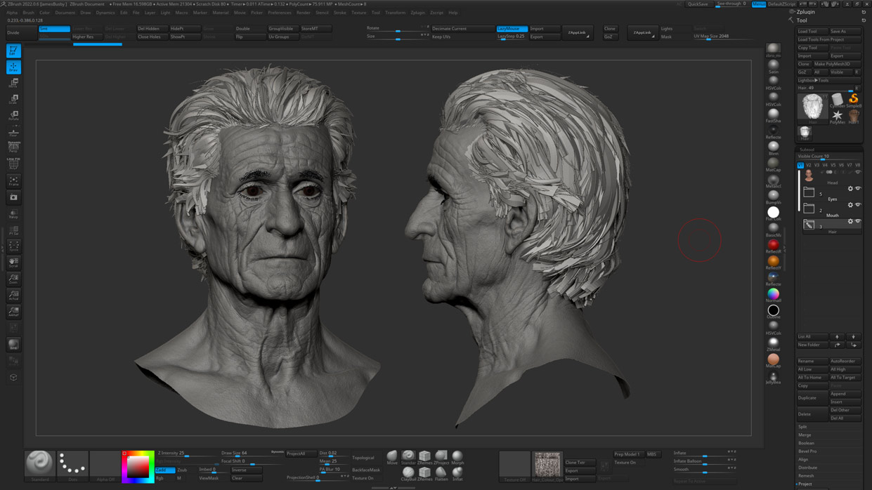 High-Detail ZBrush Sculpt 3D Male Head with Polygon Hair - 3DScanStore