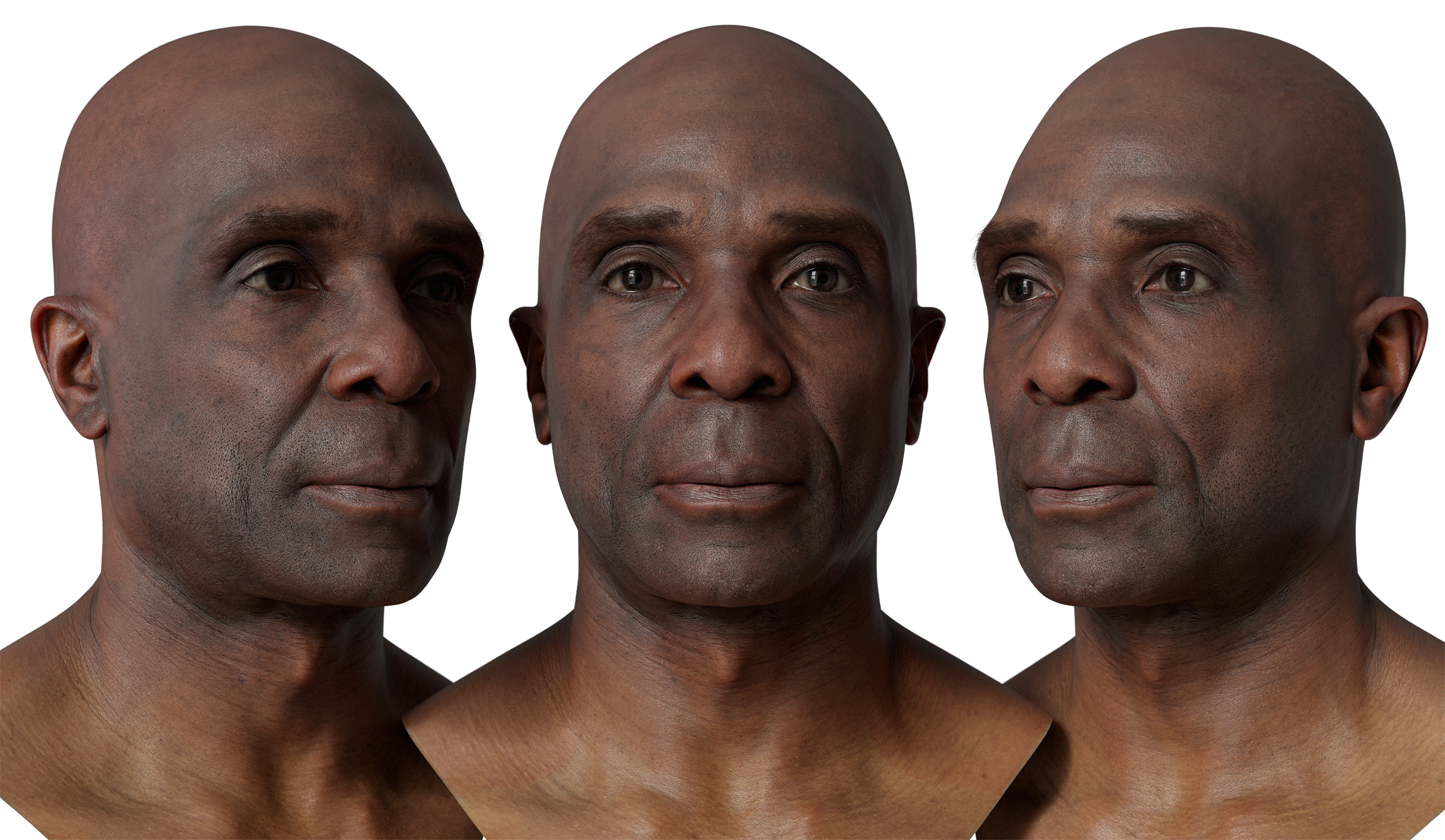 HD Male 3D Head Model 37