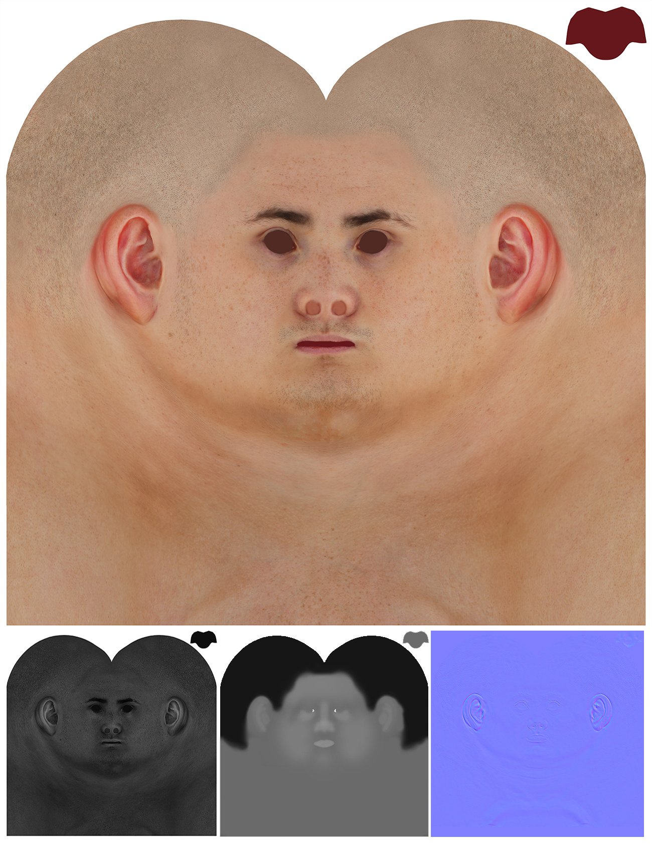 Male 3D model / Retopologised Head Scan ab09