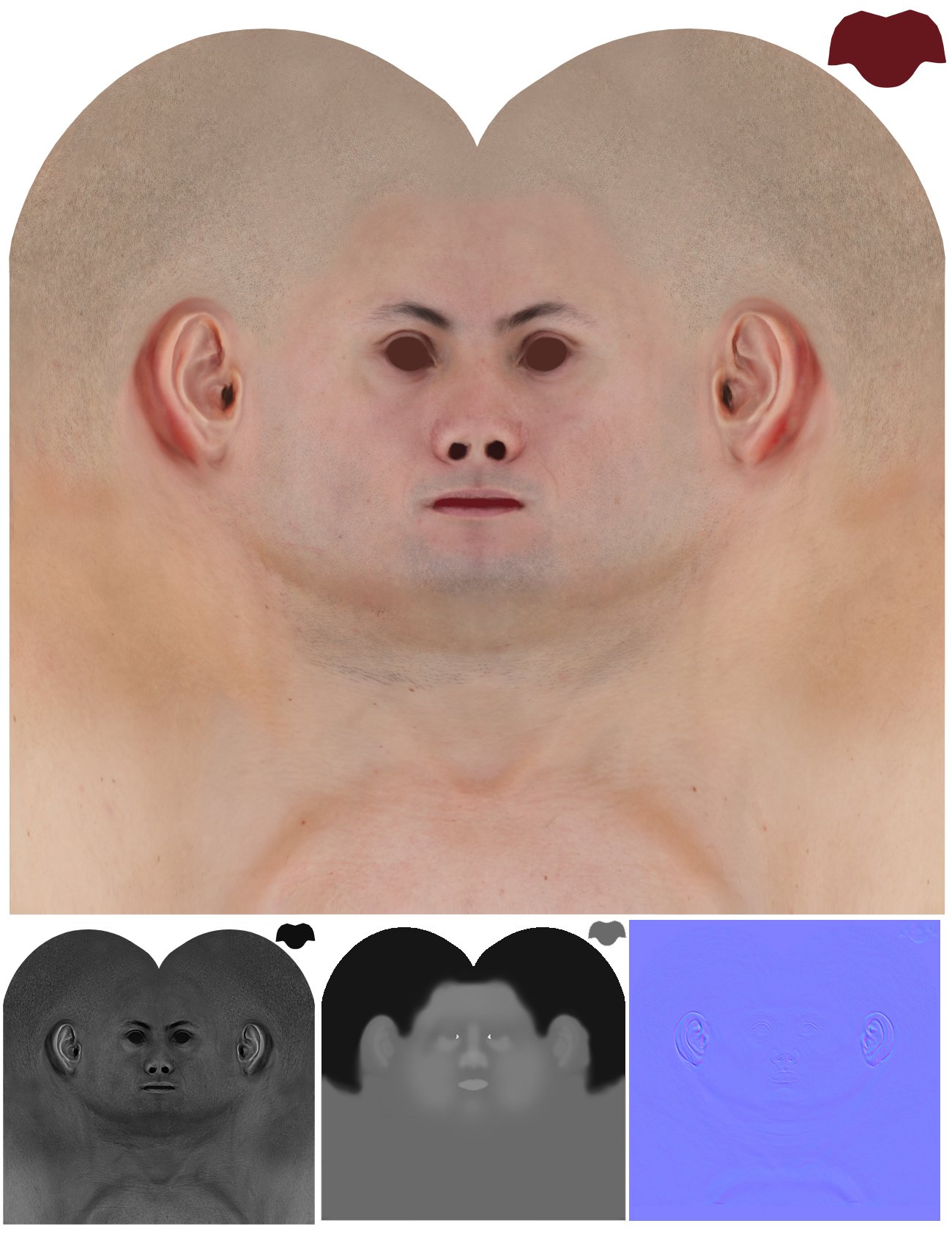 Male 3D model / Retopologised Head Scan 024