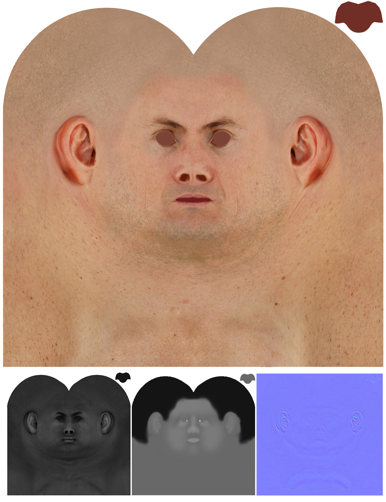 Male 3d Model   Retopologised Head Scan 36