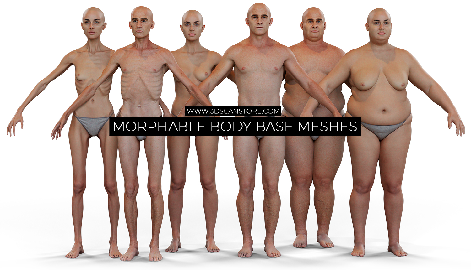 Morphable Male Base Mesh