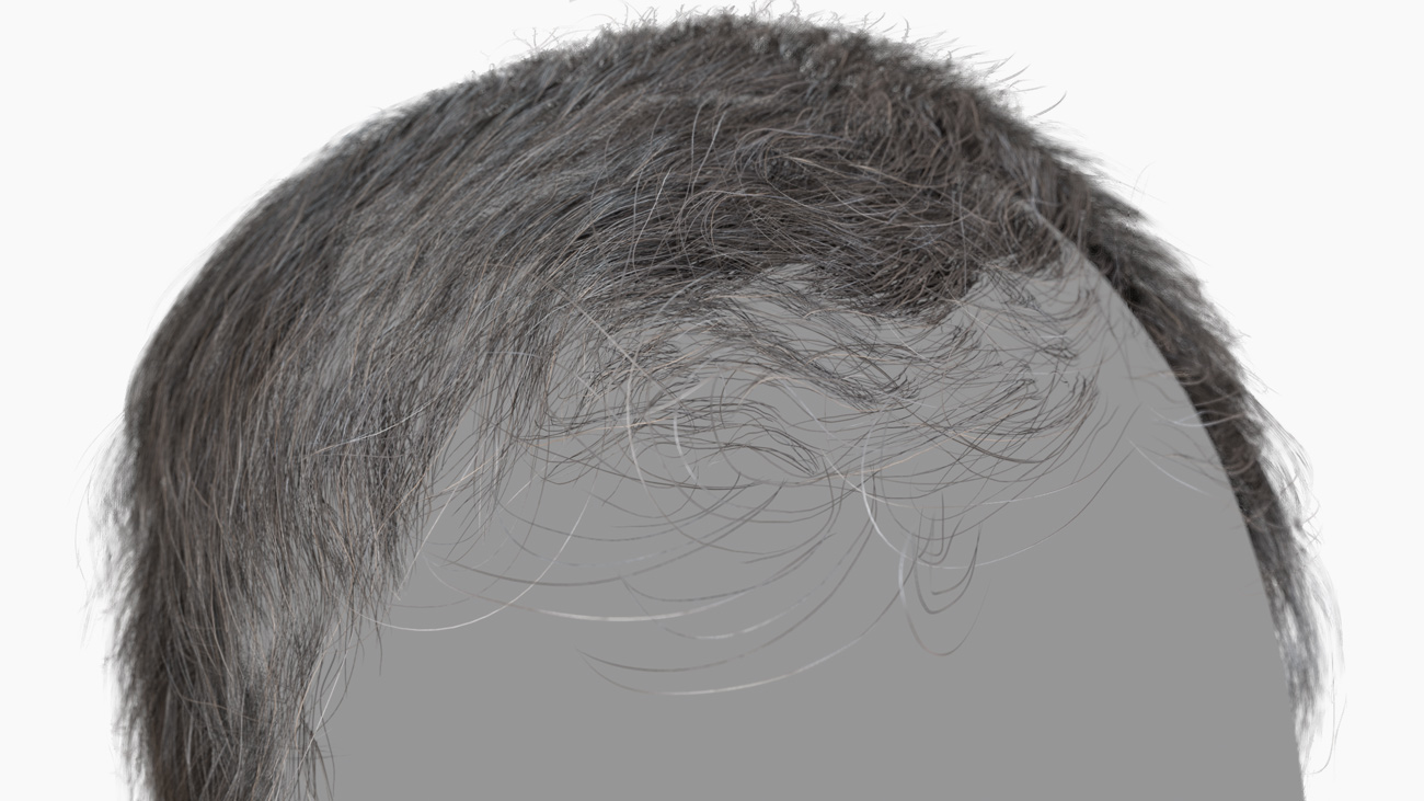 Download polygon hair male 