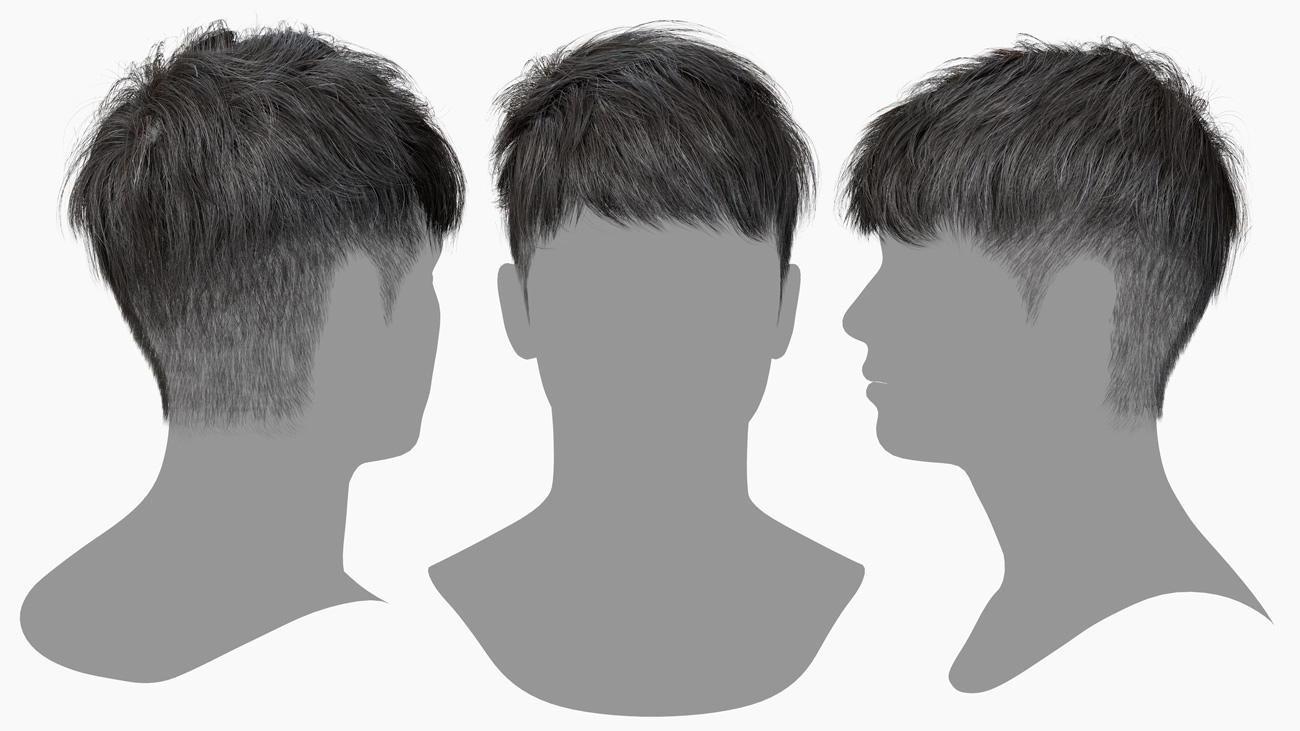 Male polygon hair style, Bowl hair