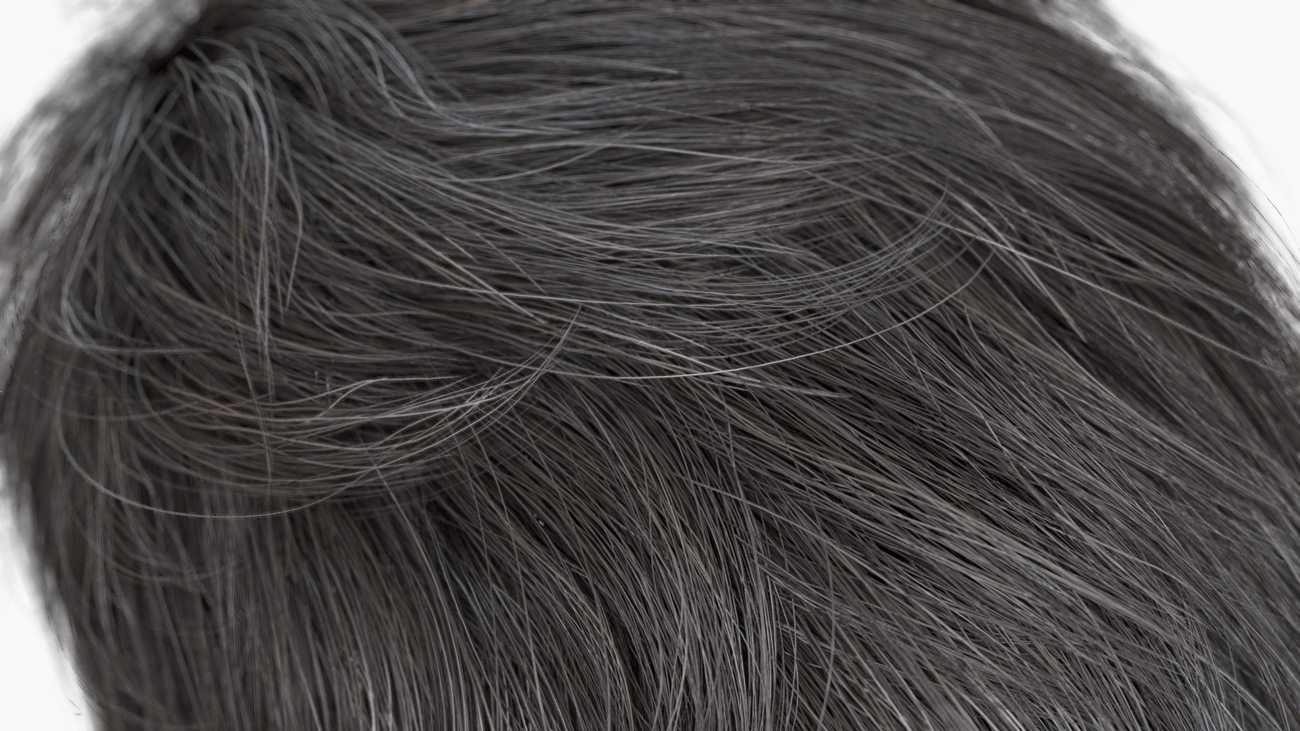 Download polygon realtime hair 