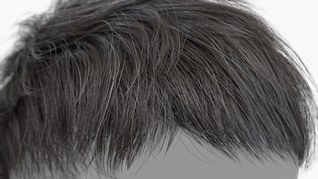 Download polygon hair male 