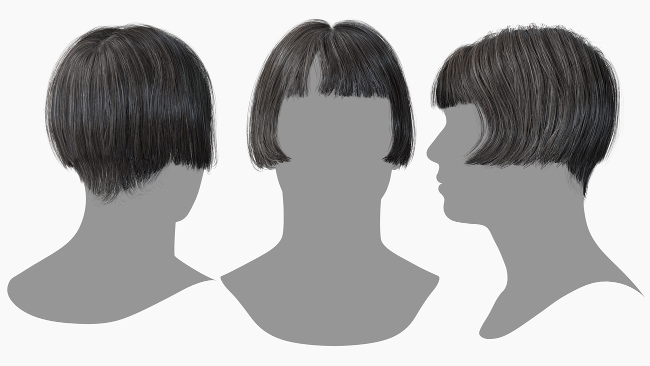 Male polygon hair style, Flapper hair