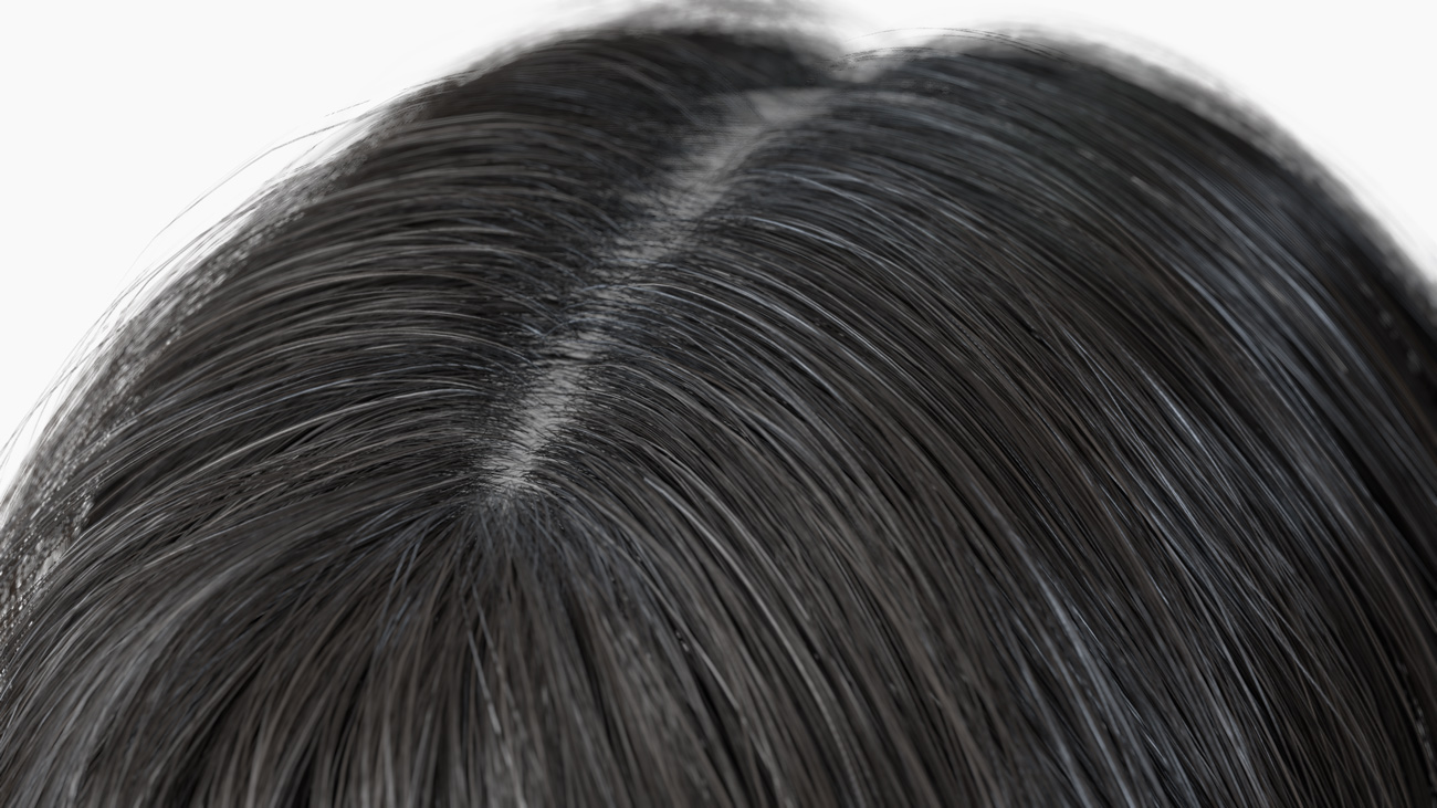 Download polygon realtime hair 