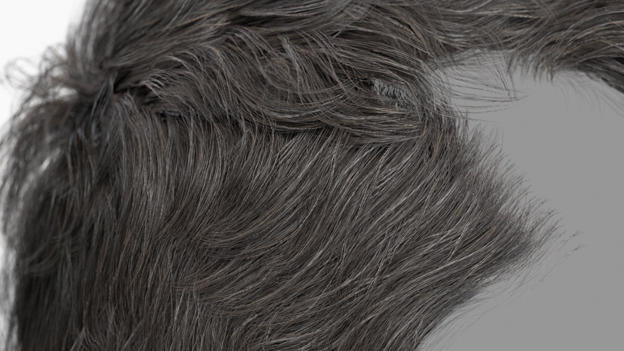 Download polygon hair male 