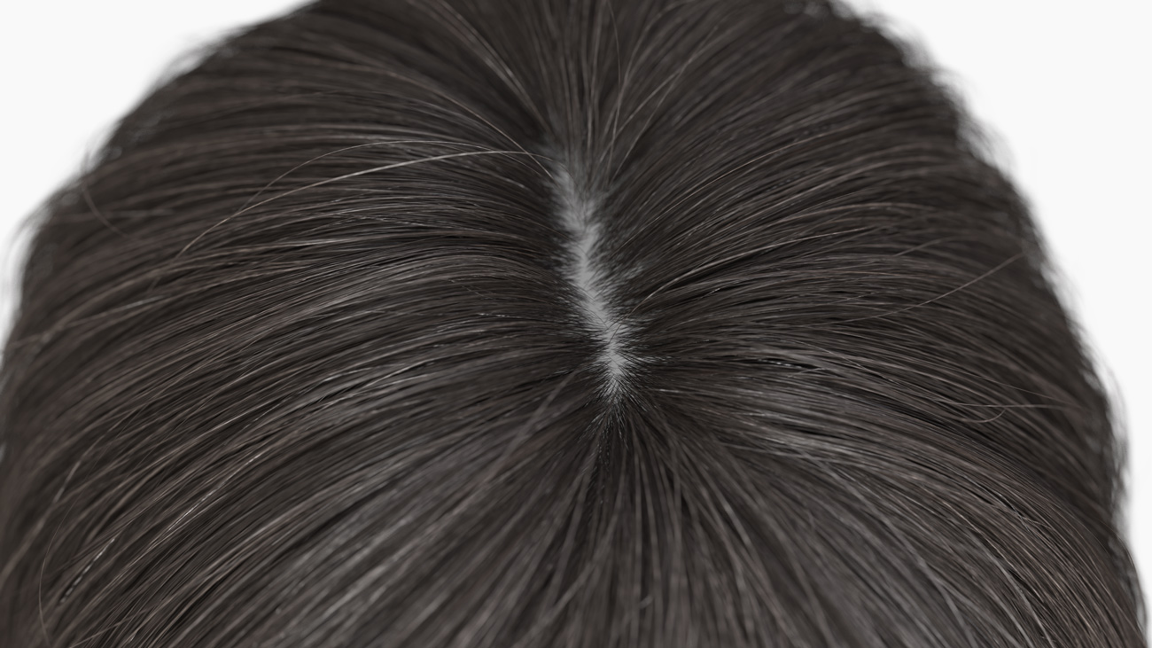 Download polygon realtime hair 