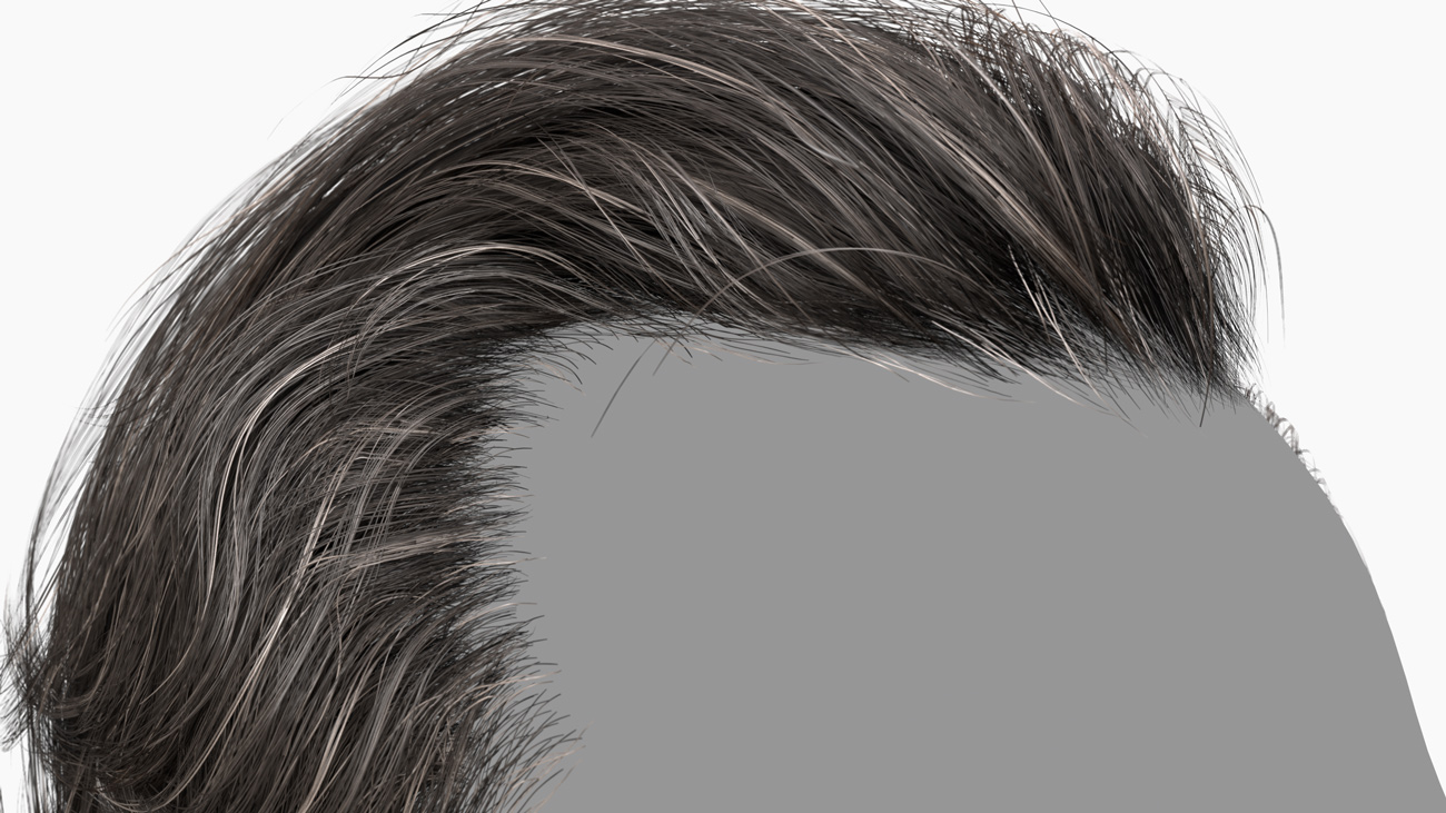 Download polygon hair male 