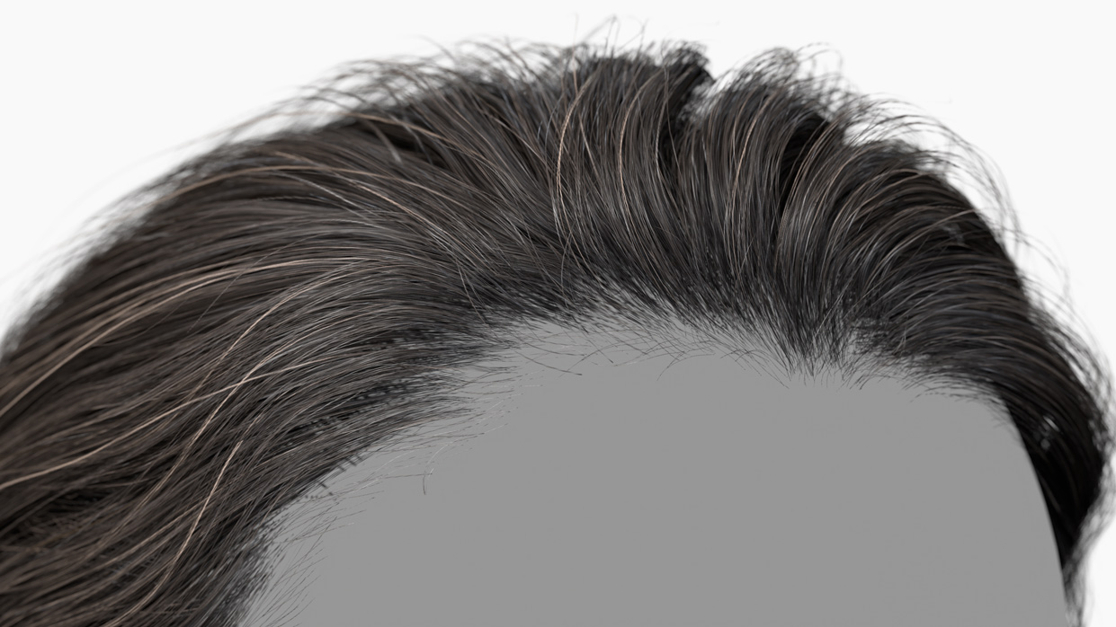 Download polygon hair male 