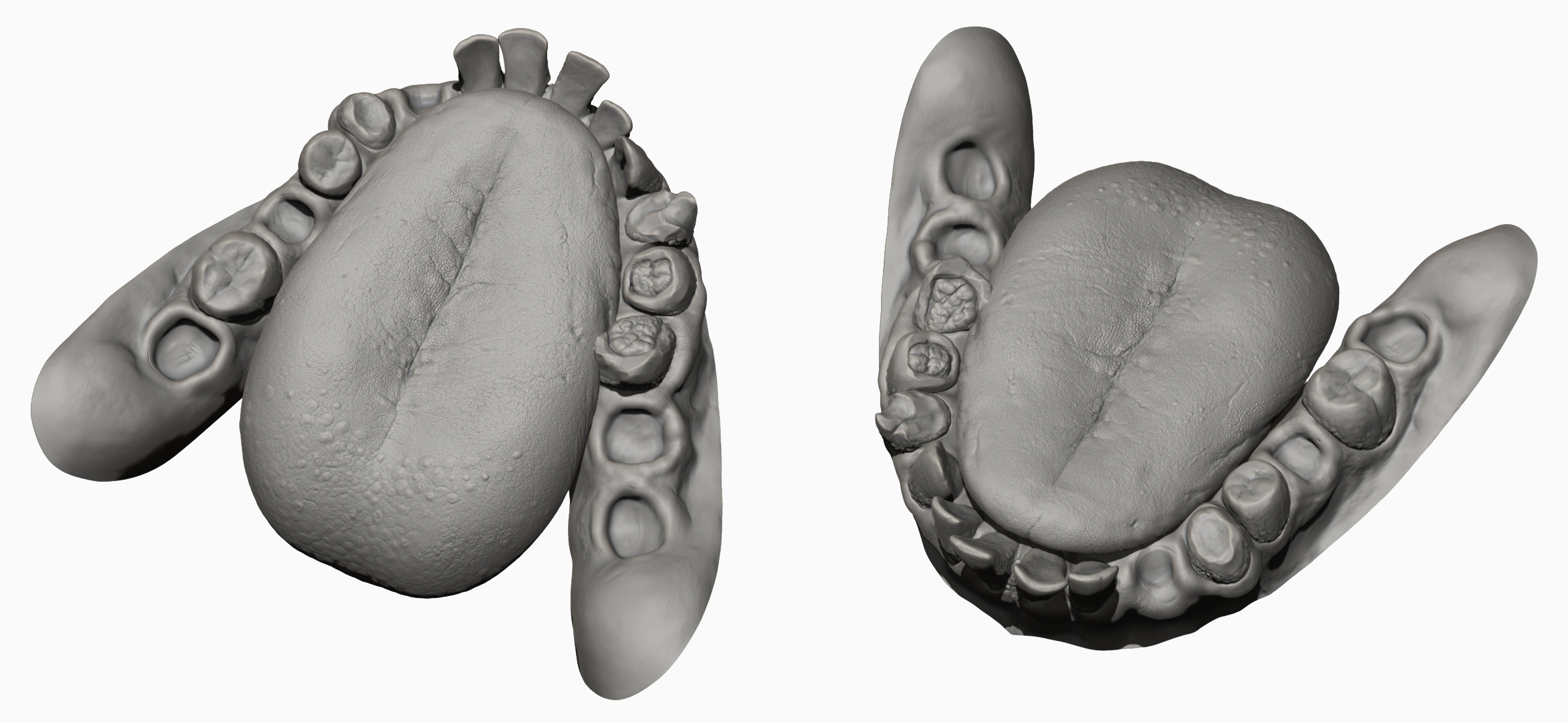 Realistic 3D Gnarly Rotten Teeth Model - Includes Blender, Marmoset ...