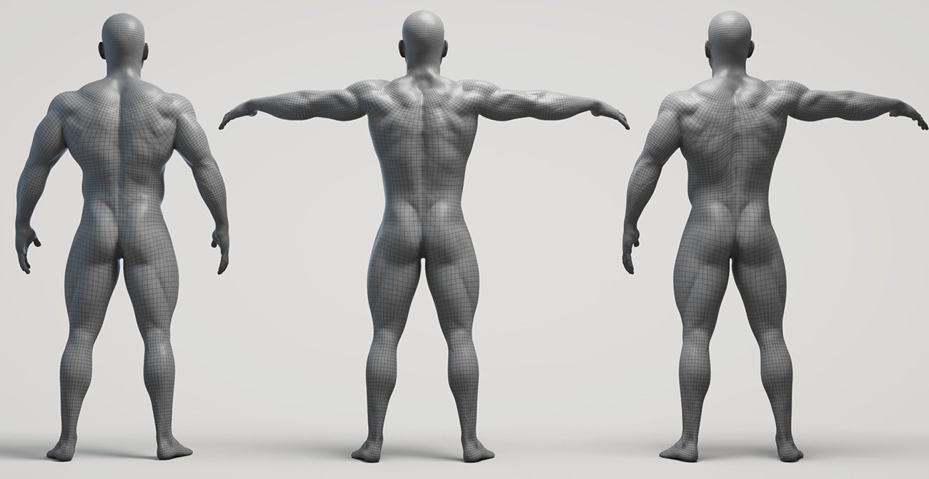 Bodybuilder Flexing Muscle 3d Illustration, 3d, Pose, Bodybuilder PNG  Transparent Image and Clipart for Free Download