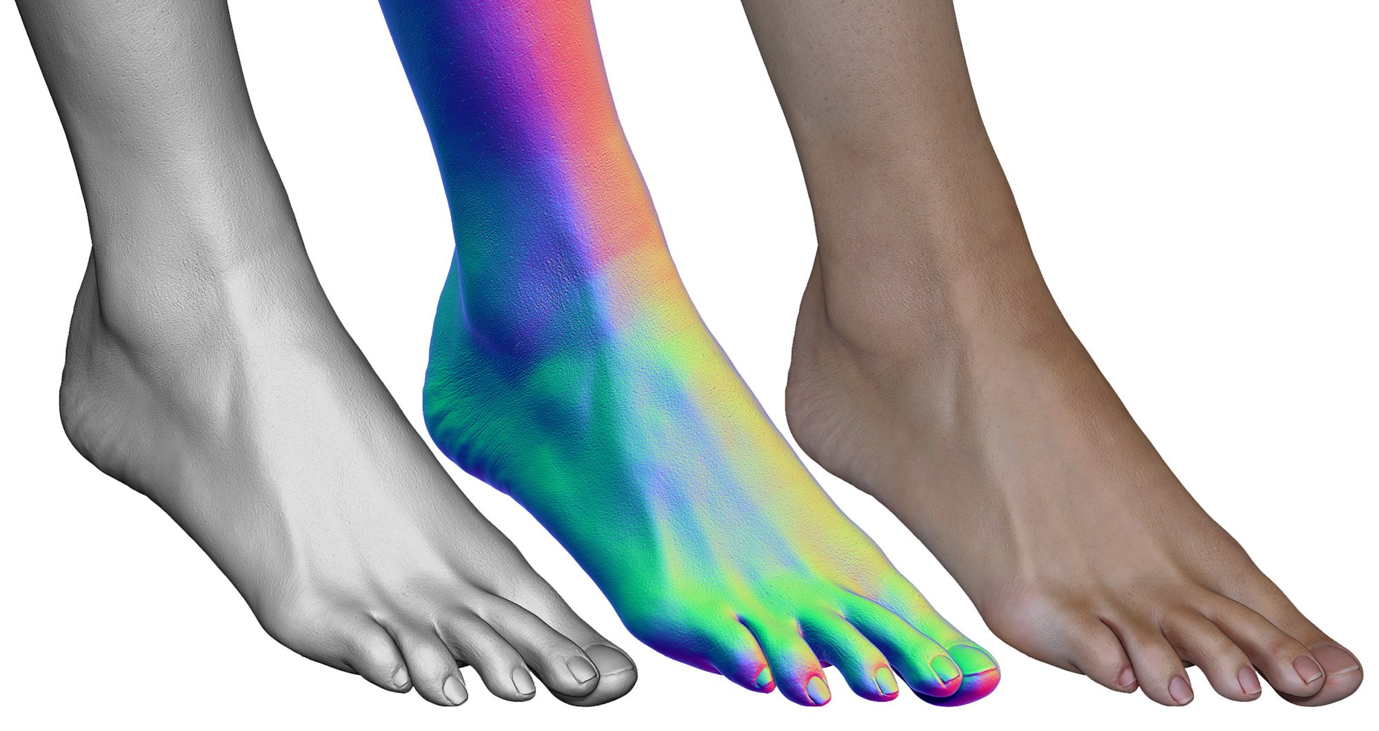3 X Female Feet Scans